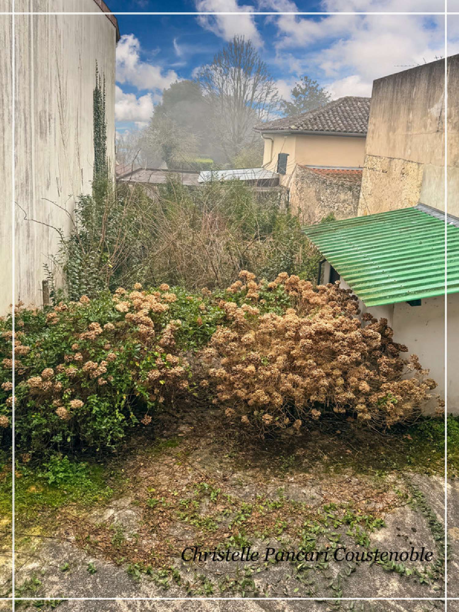  kaufen Haus Peyrehorade Landes 3