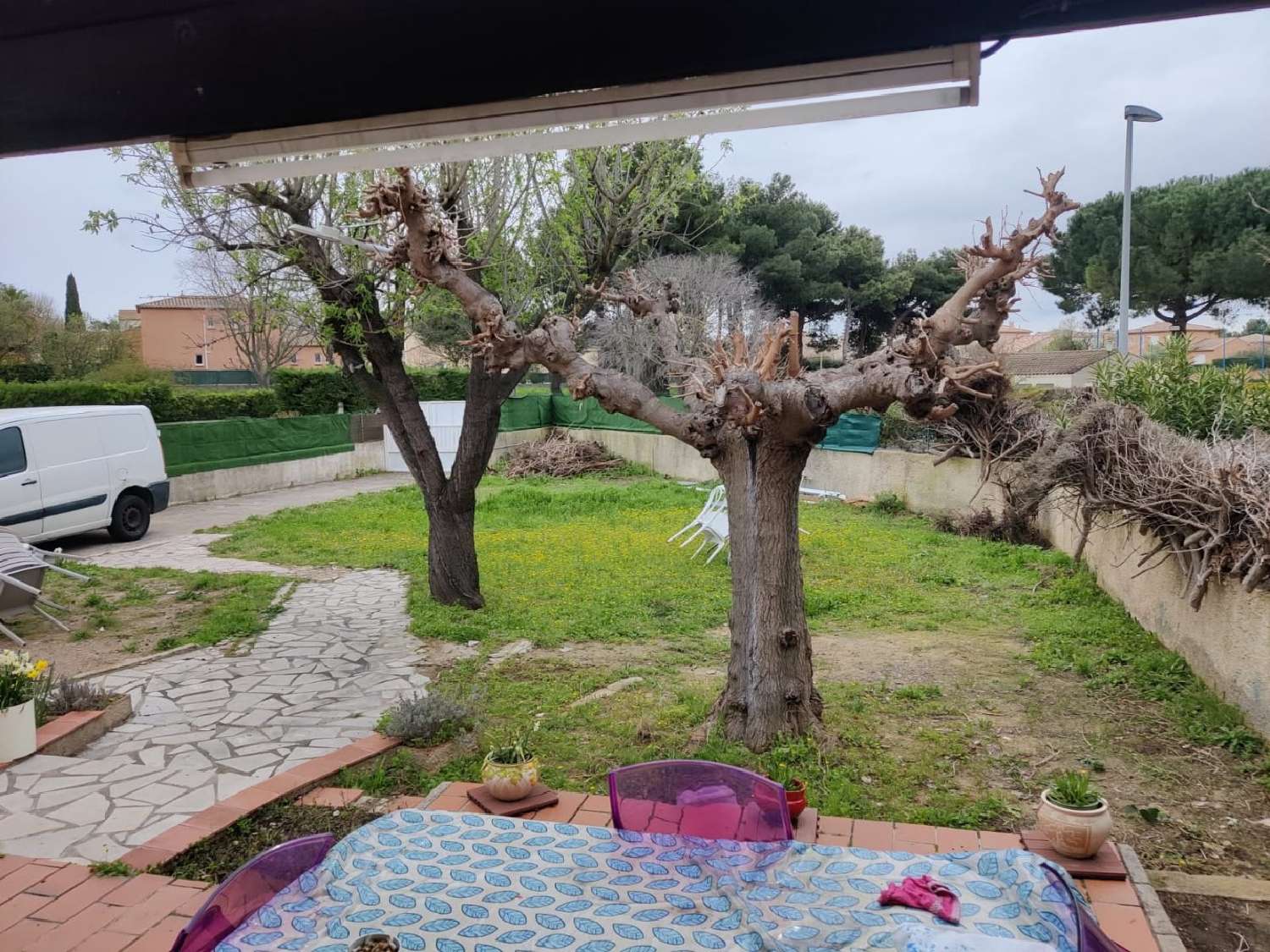  kaufen Haus Pézenas Hérault 2