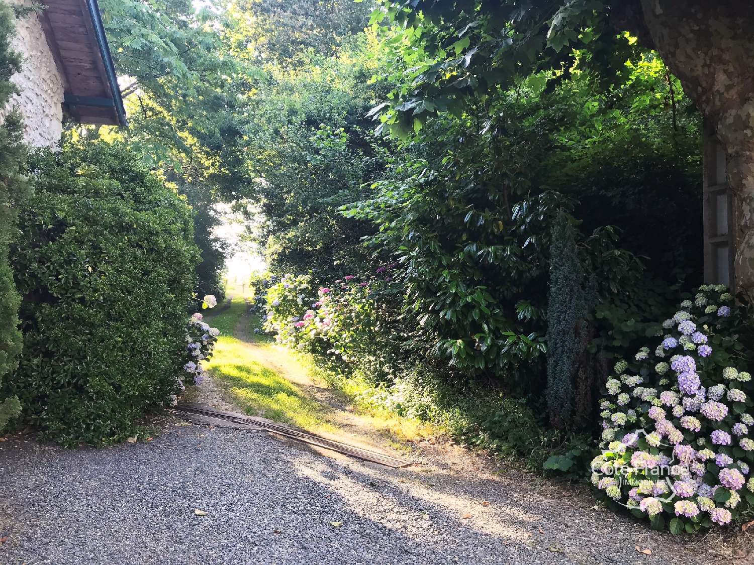  kaufen Haus Pouillon Landes 7