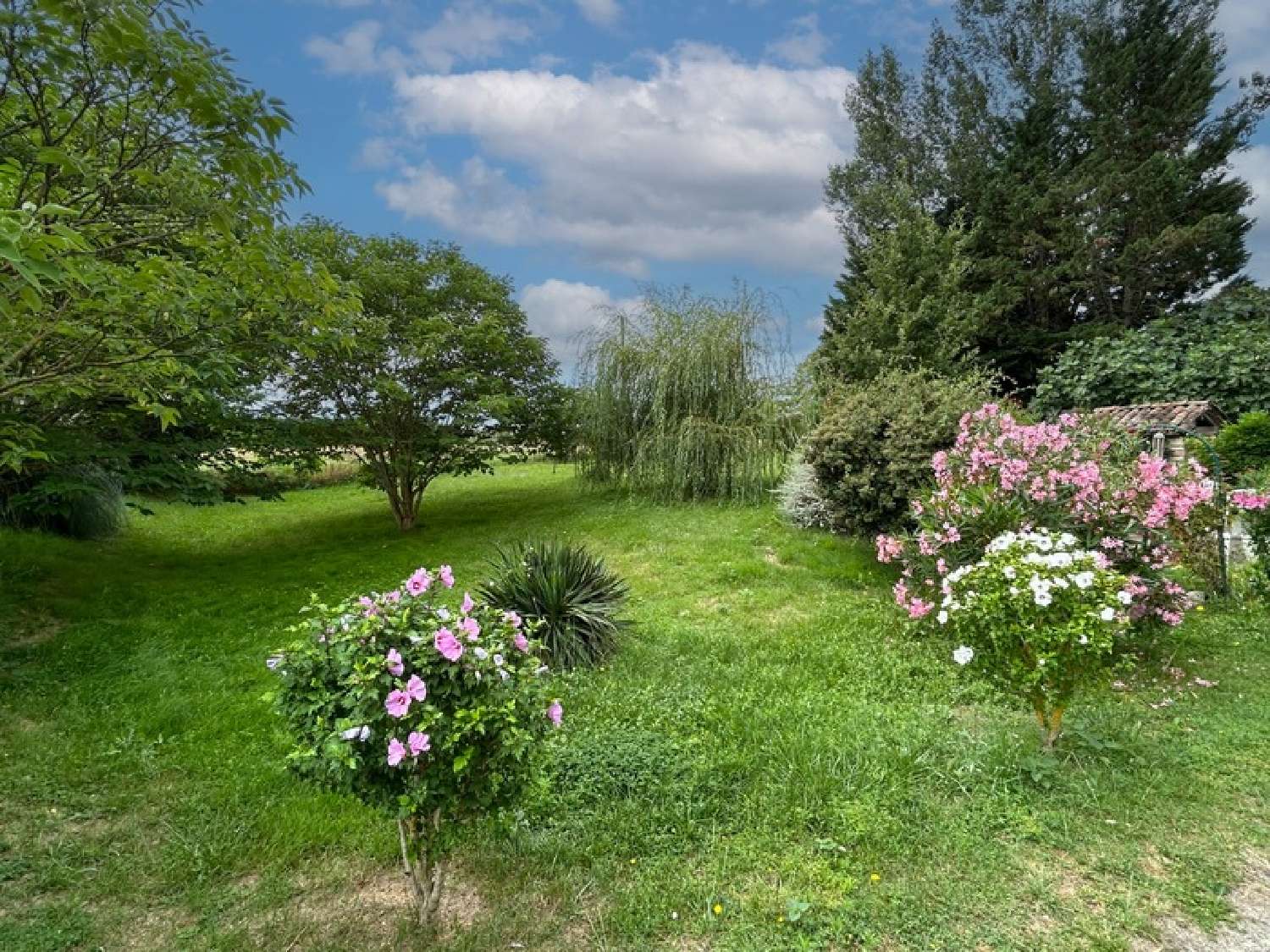 kaufen Haus Puycornet Tarn-et-Garonne 5