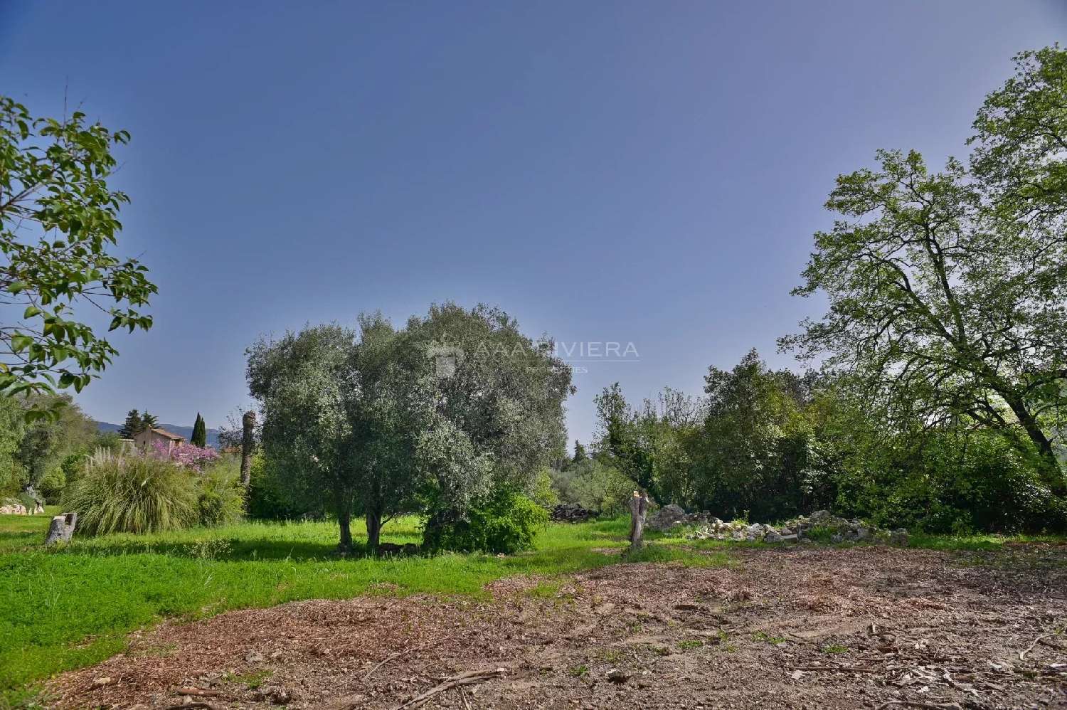  kaufen Haus Roquefort-les-pins Alpes-Maritimes 4