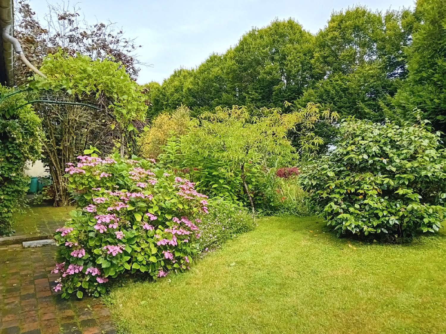 kaufen Haus Rougé Loire-Atlantique 5