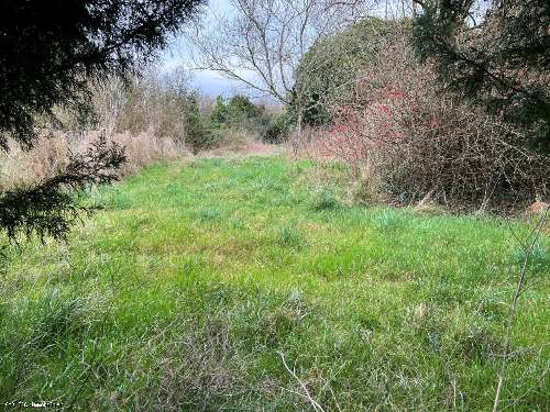  te koop huis Ruffec Charente 3