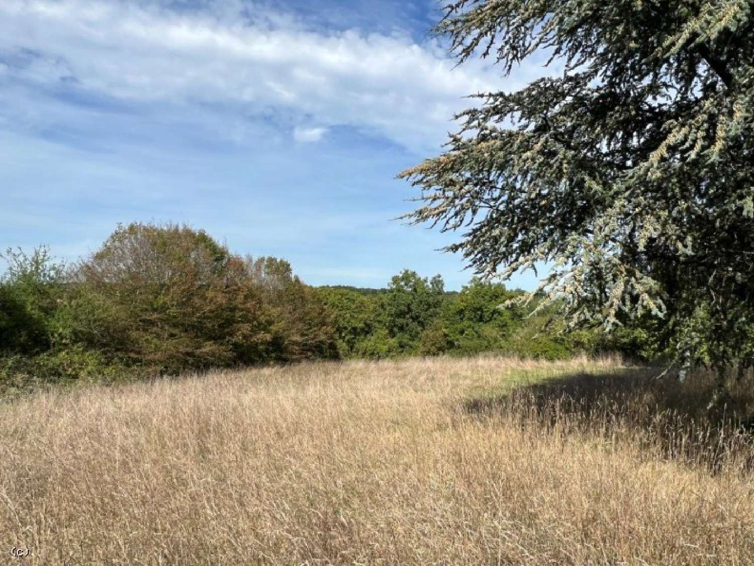  kaufen Haus Poursac Charente 5
