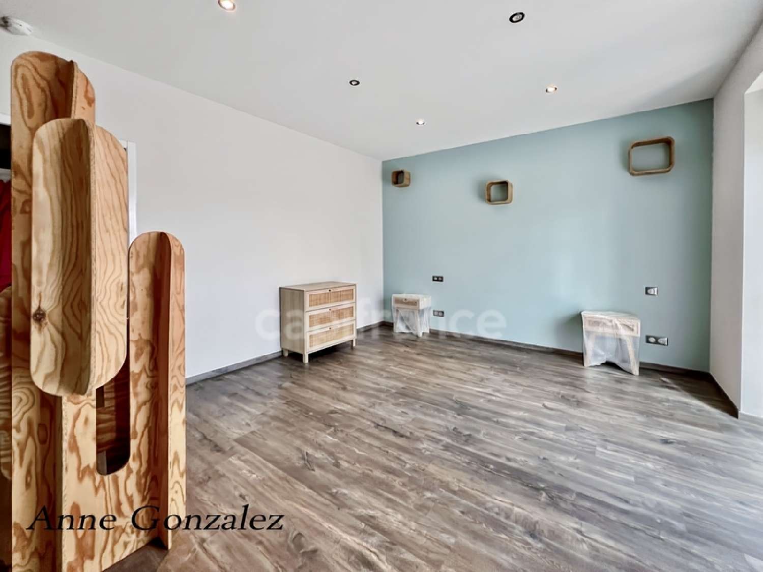 kaufen Haus Saint-Hilaire-Saint-Mesmin Loiret 7