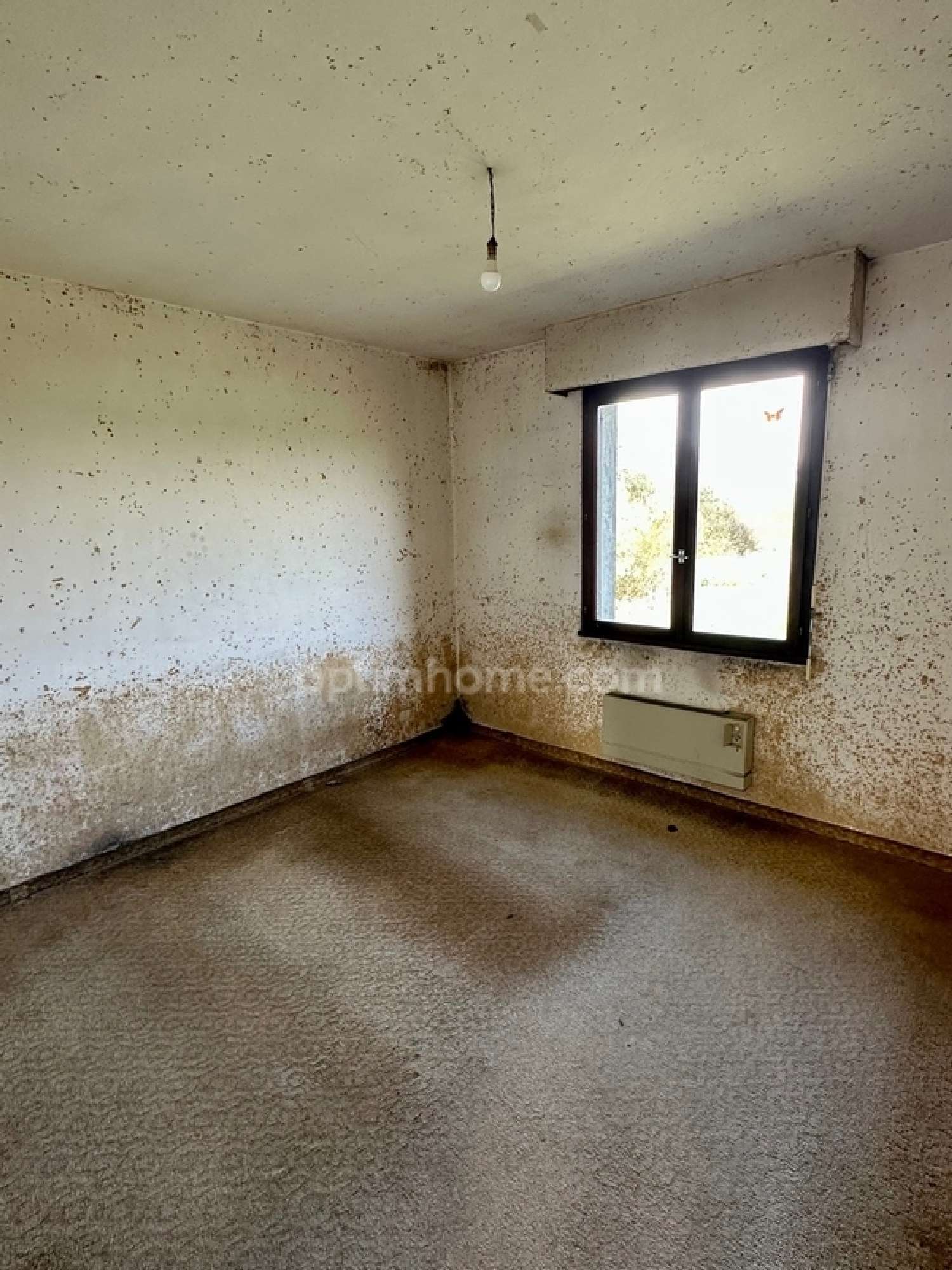  kaufen Haus Saint-Laurent-sur-Sèvre Vendée 6