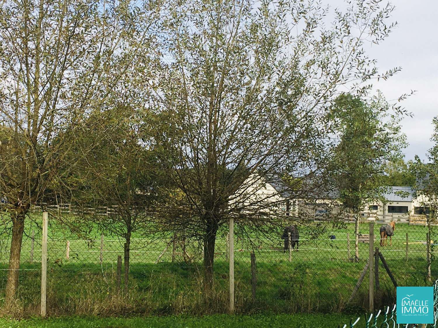  kaufen Haus Saint-Lunaire Ille-et-Vilaine 3