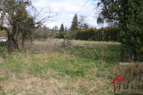  te koop huis Torcenay Haute-Marne 4