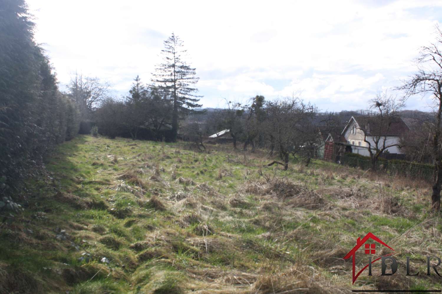  kaufen Haus Torcenay Haute-Marne 6