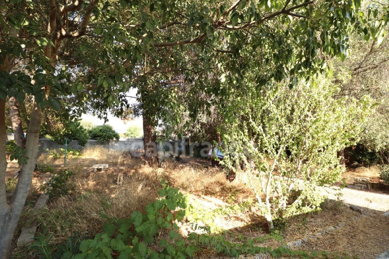  kaufen Haus Le Revest-les-Eaux Var 4