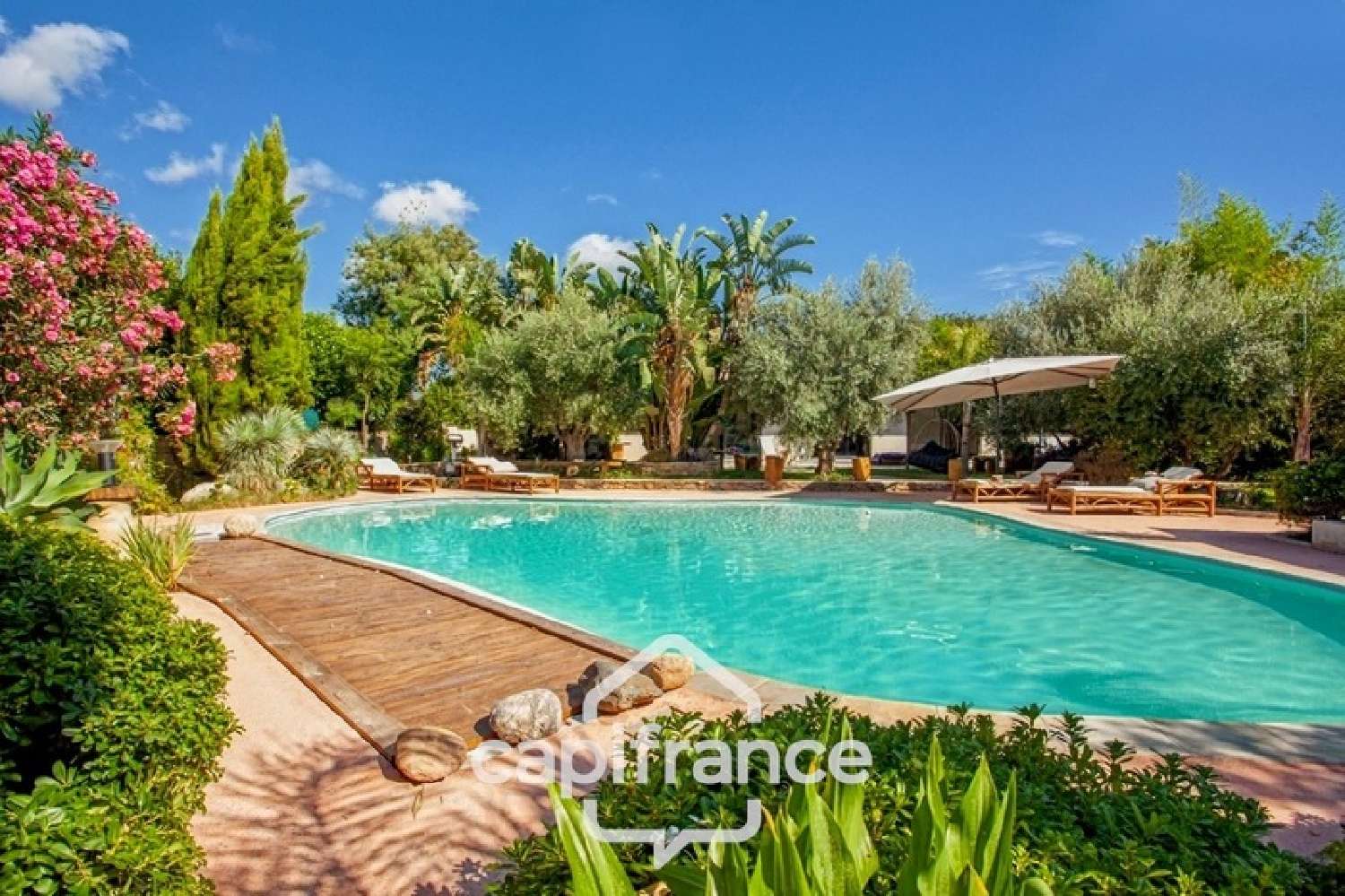  kaufen Haus Venzolasca Haute-Corse 4