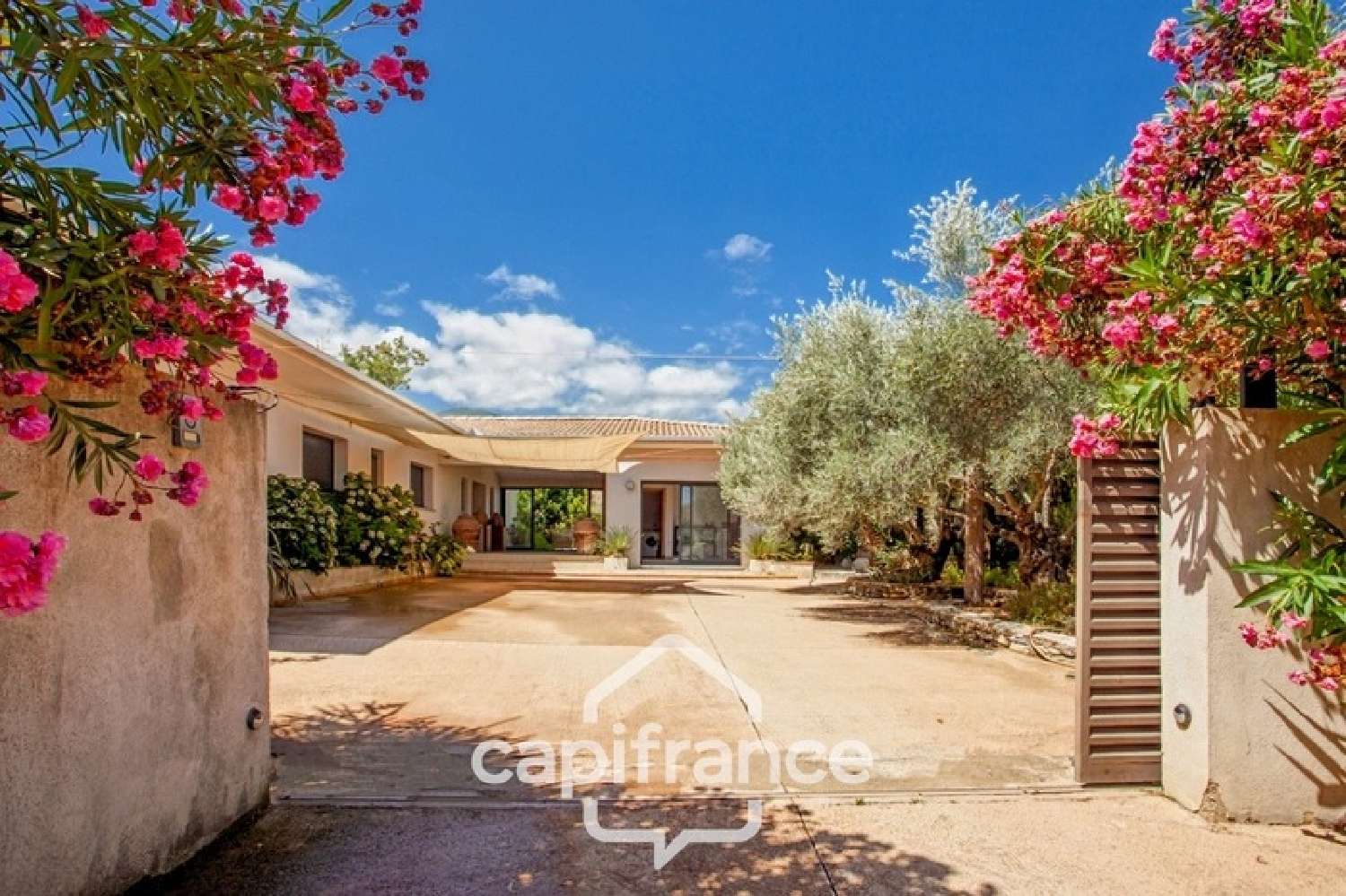  kaufen Haus Venzolasca Haute-Corse 7