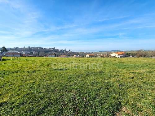 Panissières Loire Grundstück Bild 7031788