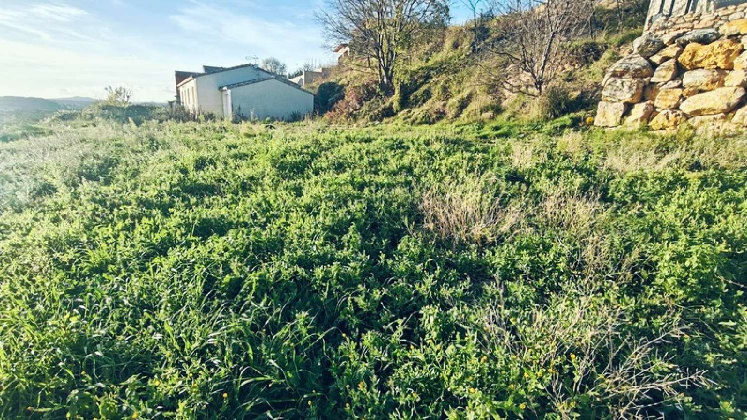  kaufen Grundstück Tressan Hérault 6