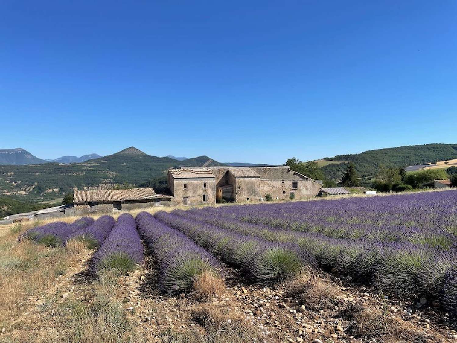  kaufen Villa Digne-Les-Bains Alpes-de-Haute-Provence 1