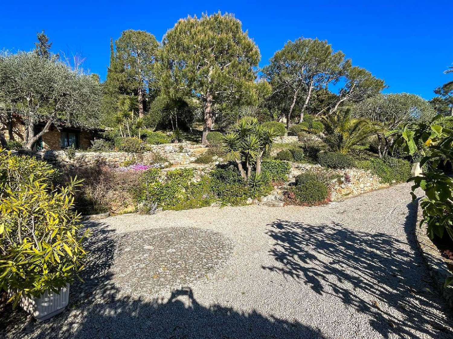  kaufen Villa Villefranche-sur-Mer Alpes-Maritimes 5