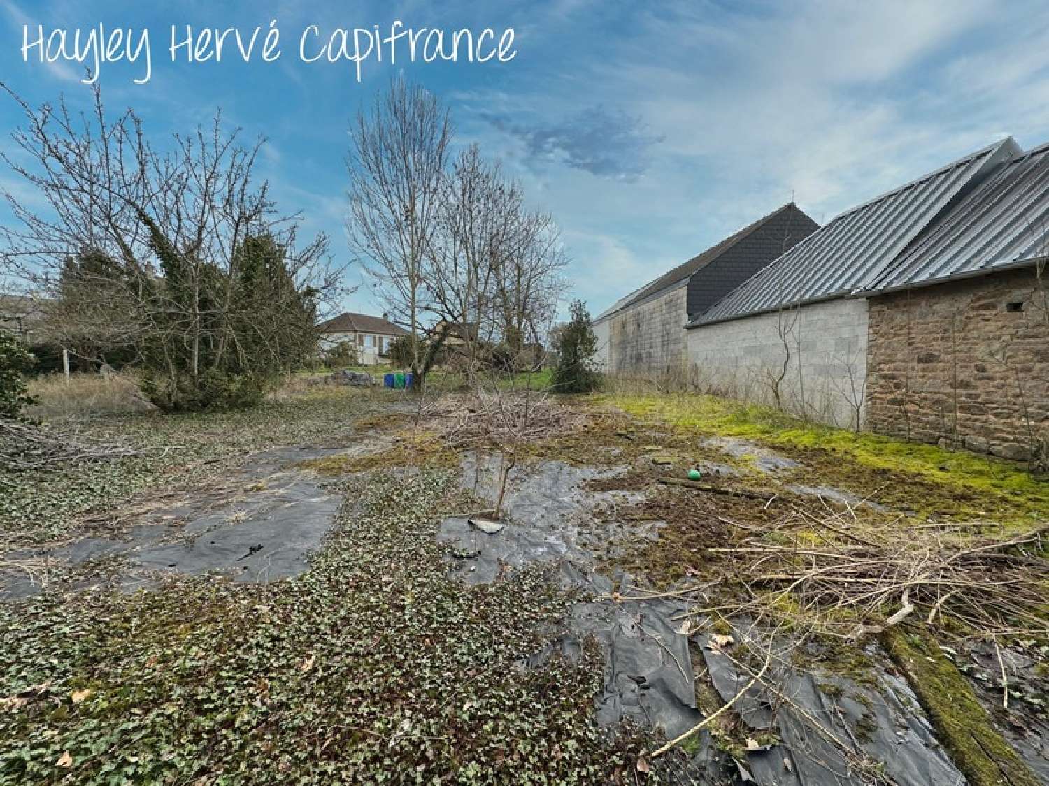  kaufen Dorfhaus Désertines Mayenne 6