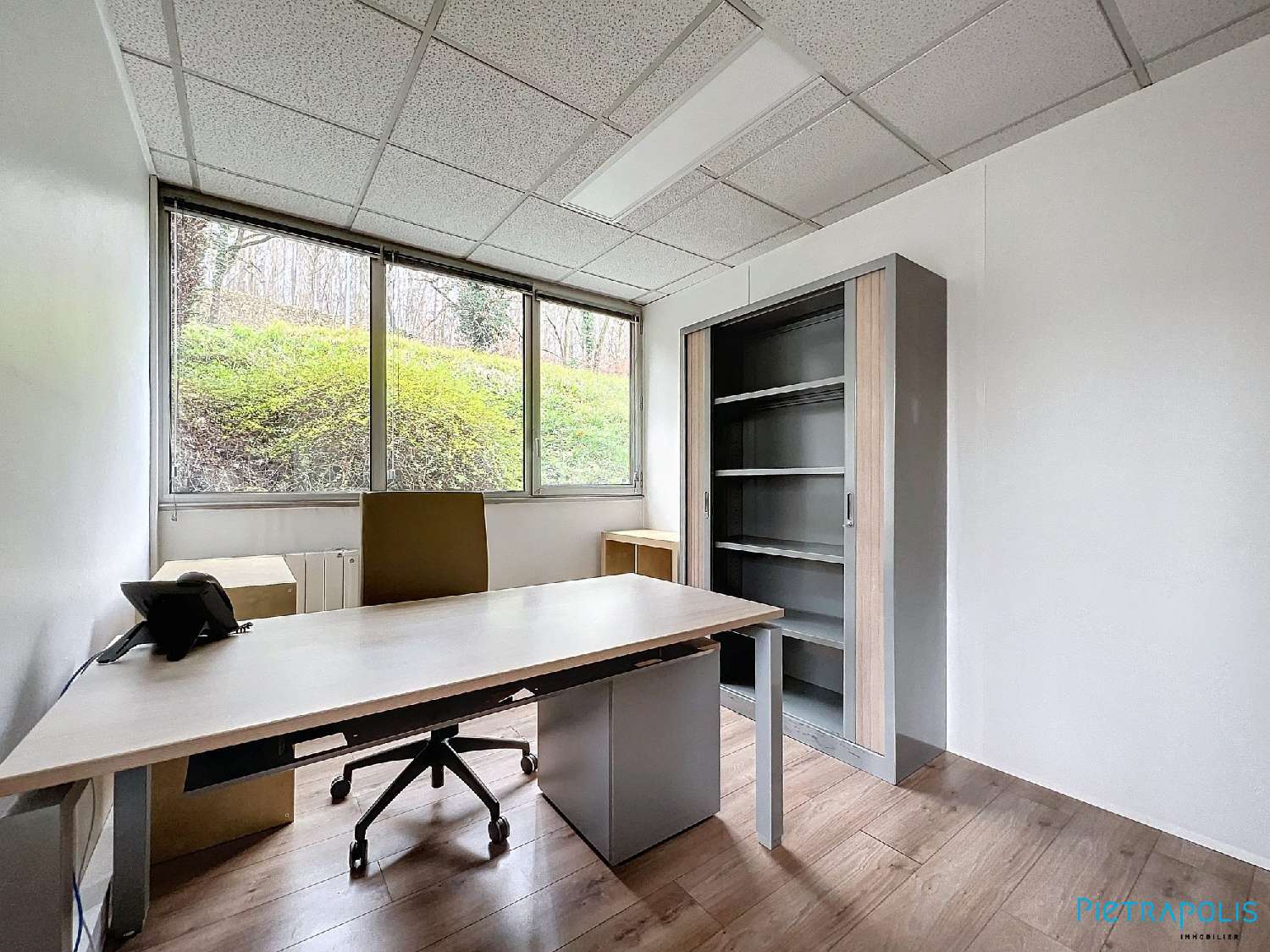  for sale office Lissieu Rhône 5