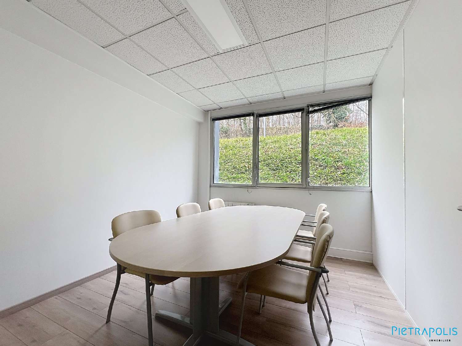  for sale office Lissieu Rhône 6