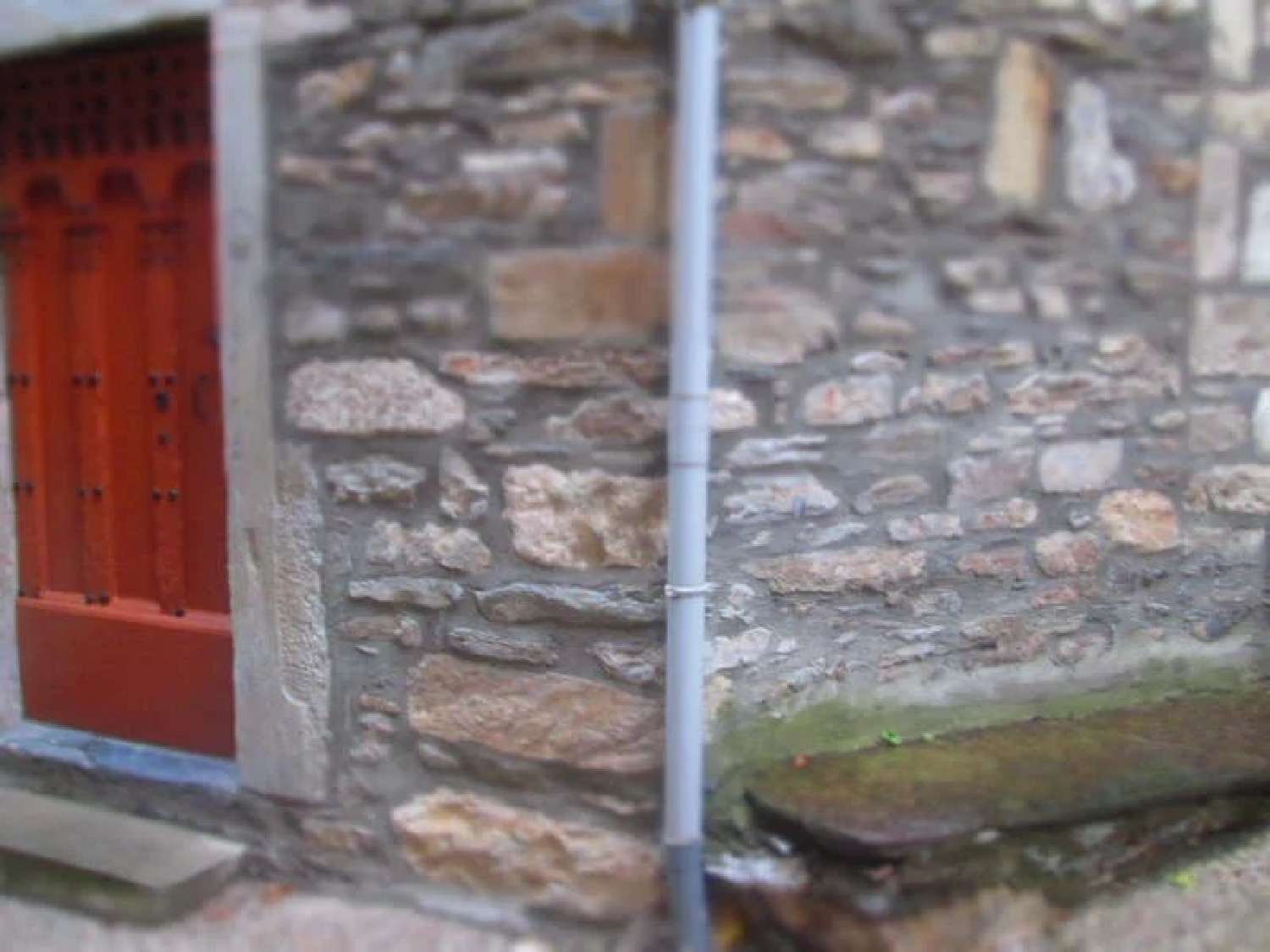  kaufen Haus Riols Hérault 4