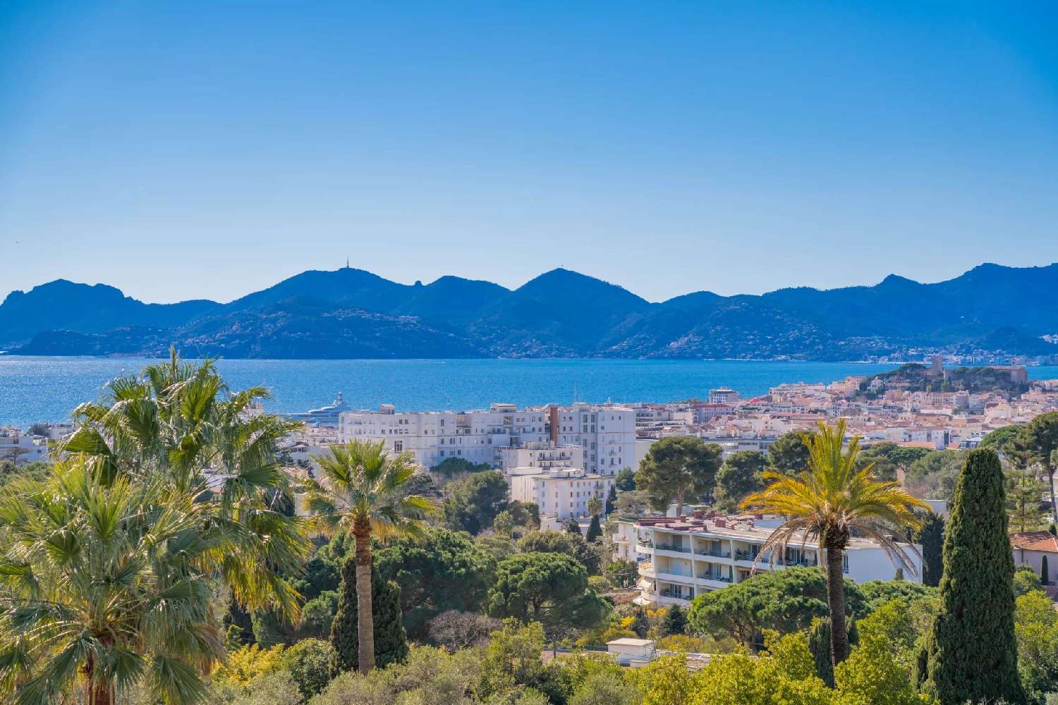  kaufen Wohnung/ Apartment Cannes Alpes-Maritimes 8
