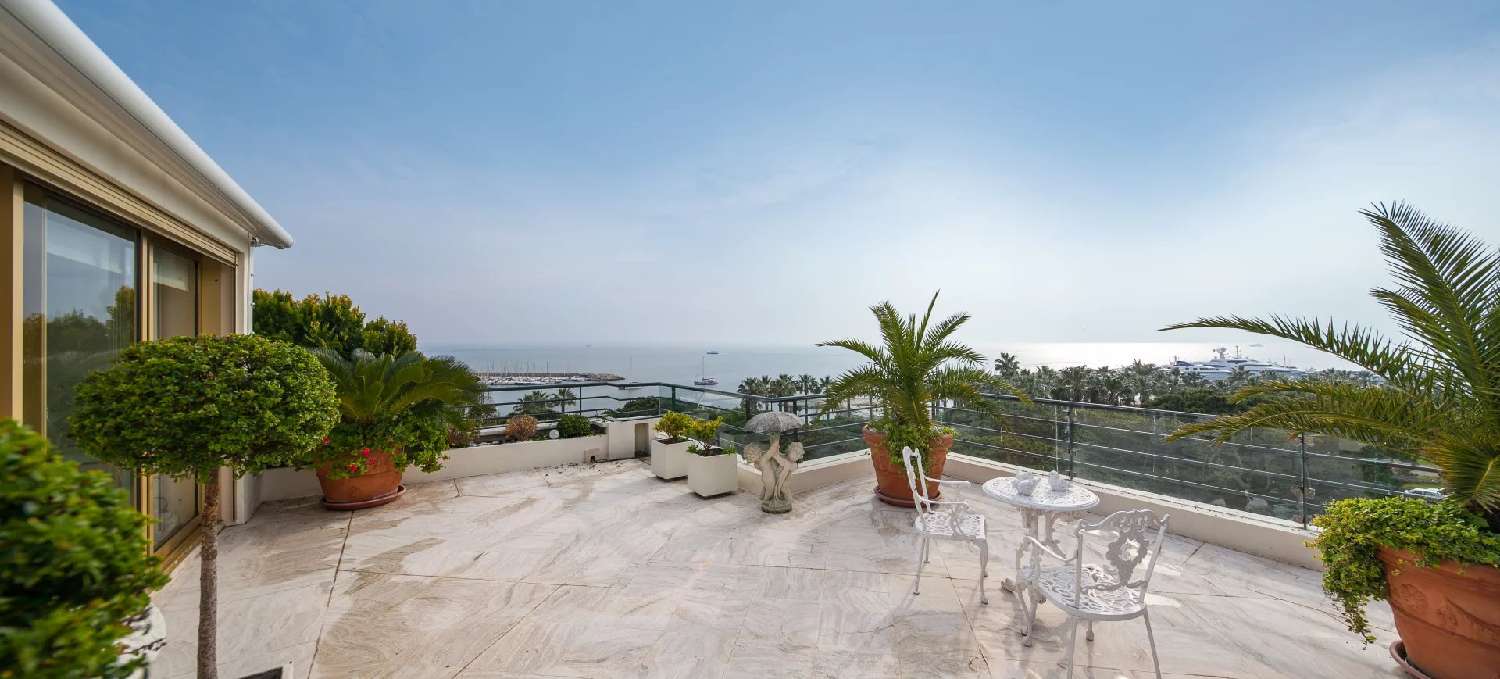  kaufen Wohnung/ Apartment Cannes Alpes-Maritimes 1