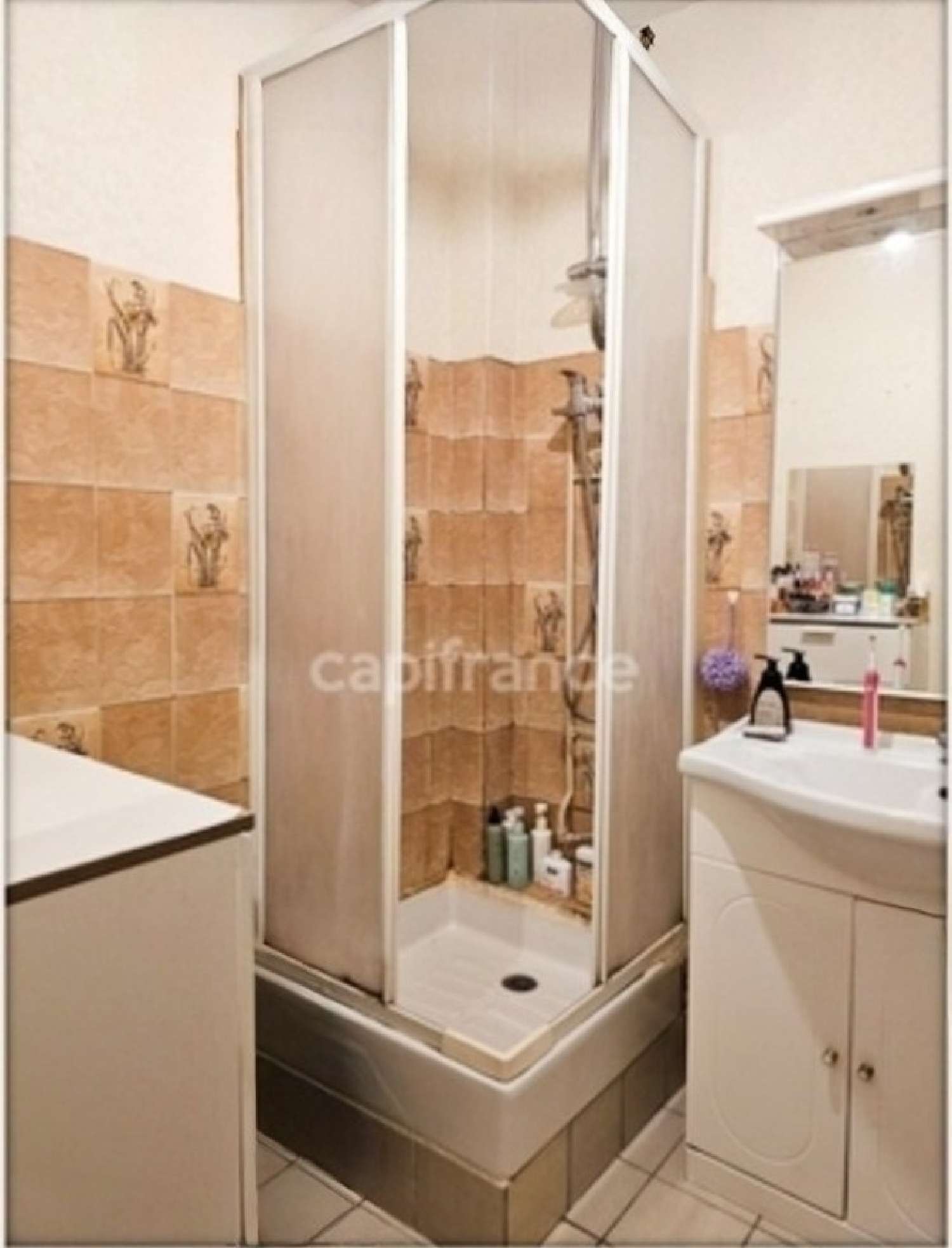  kaufen Wohnung/ Apartment Saint-Maur-des-Fossés Val-de-Marne 6