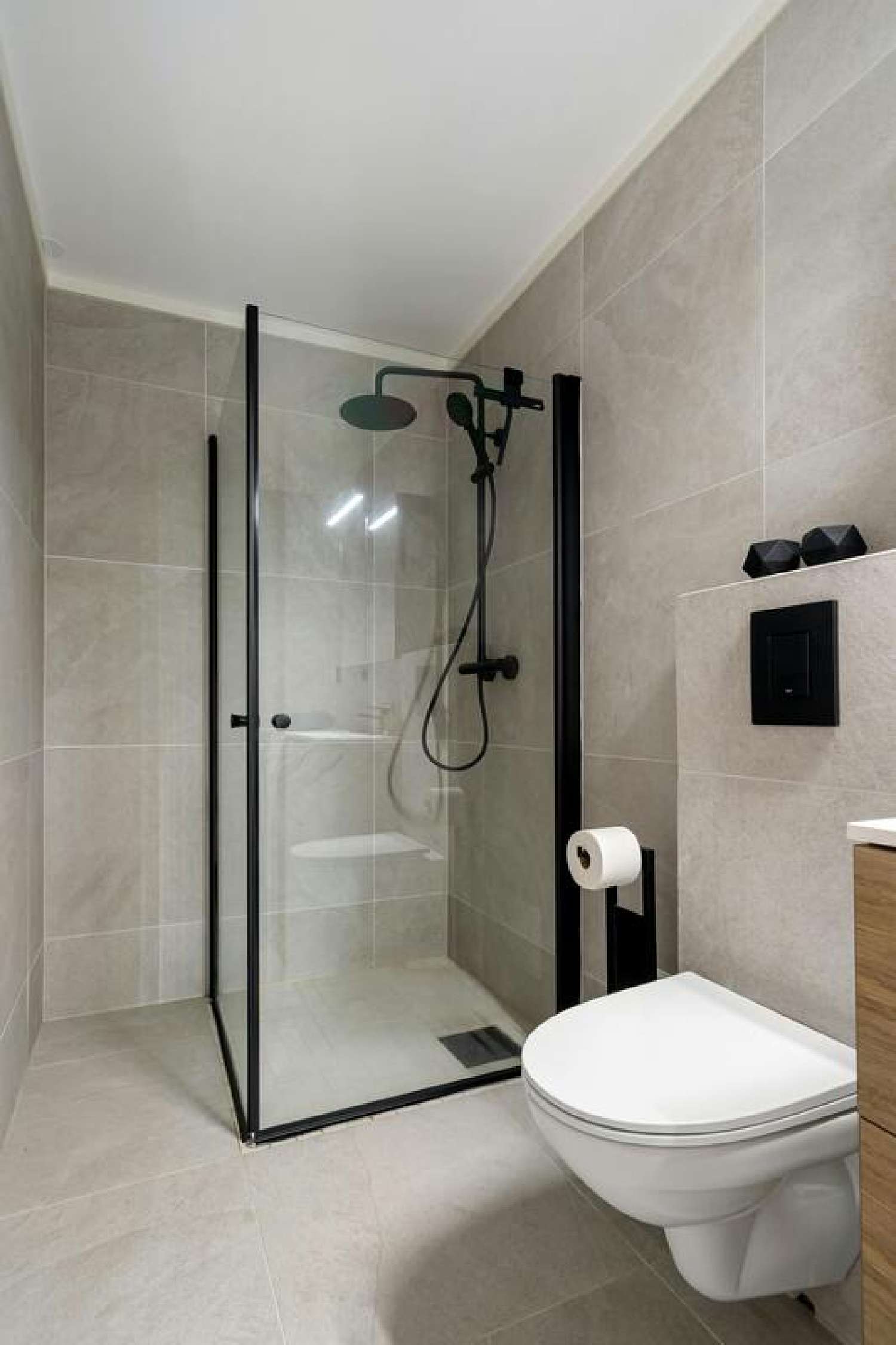  kaufen Wohnung/ Apartment Annemasse Haute-Savoie 2