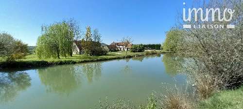 Tour-en-Sologne Loir-et-Cher Ferienhaus/ Gästezimmer Bild 7055712