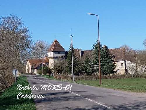  te koop kasteel Igornay Saône-et-Loire 4