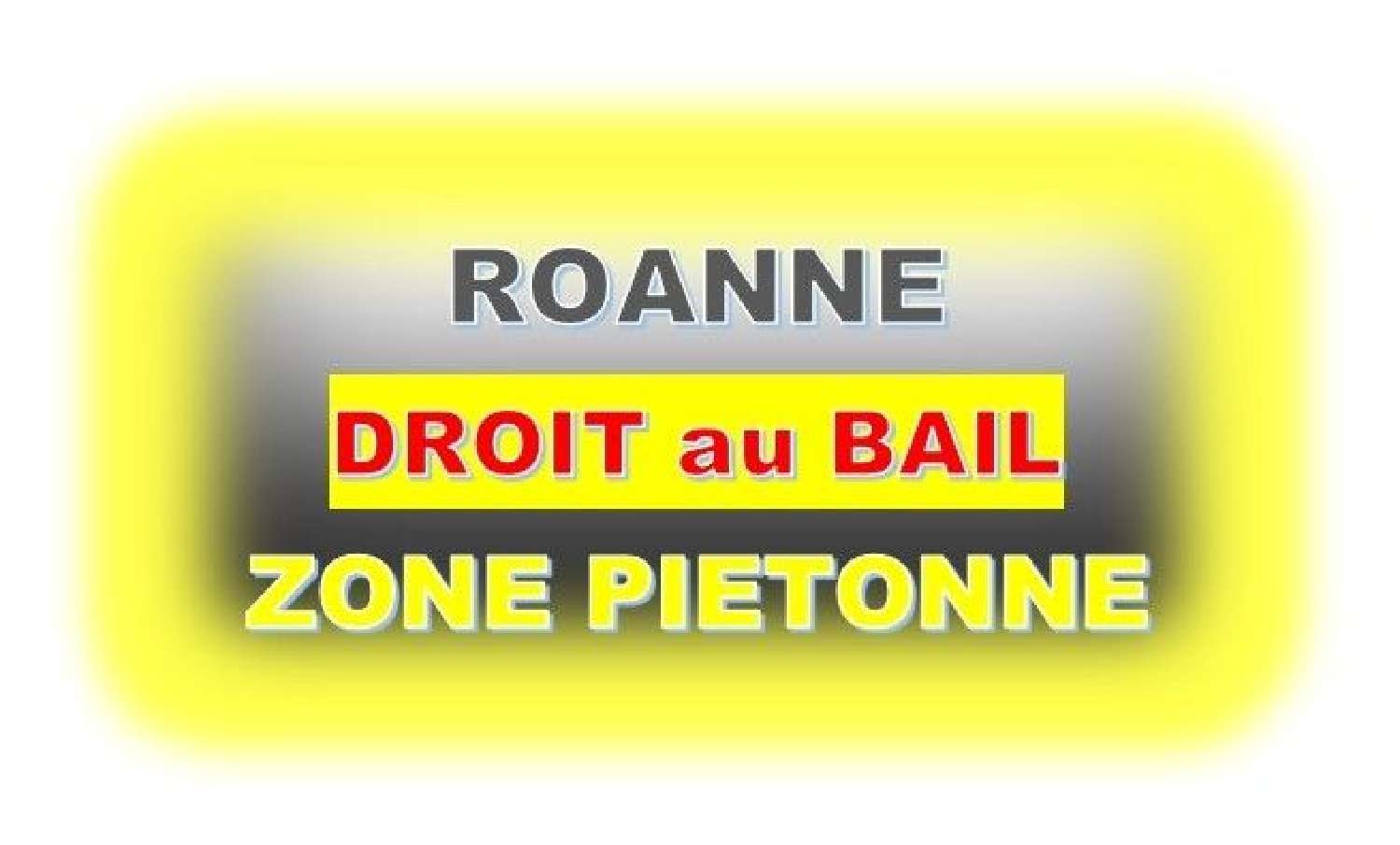  kaufen Gewerbeimmobilie Roanne Loire 1