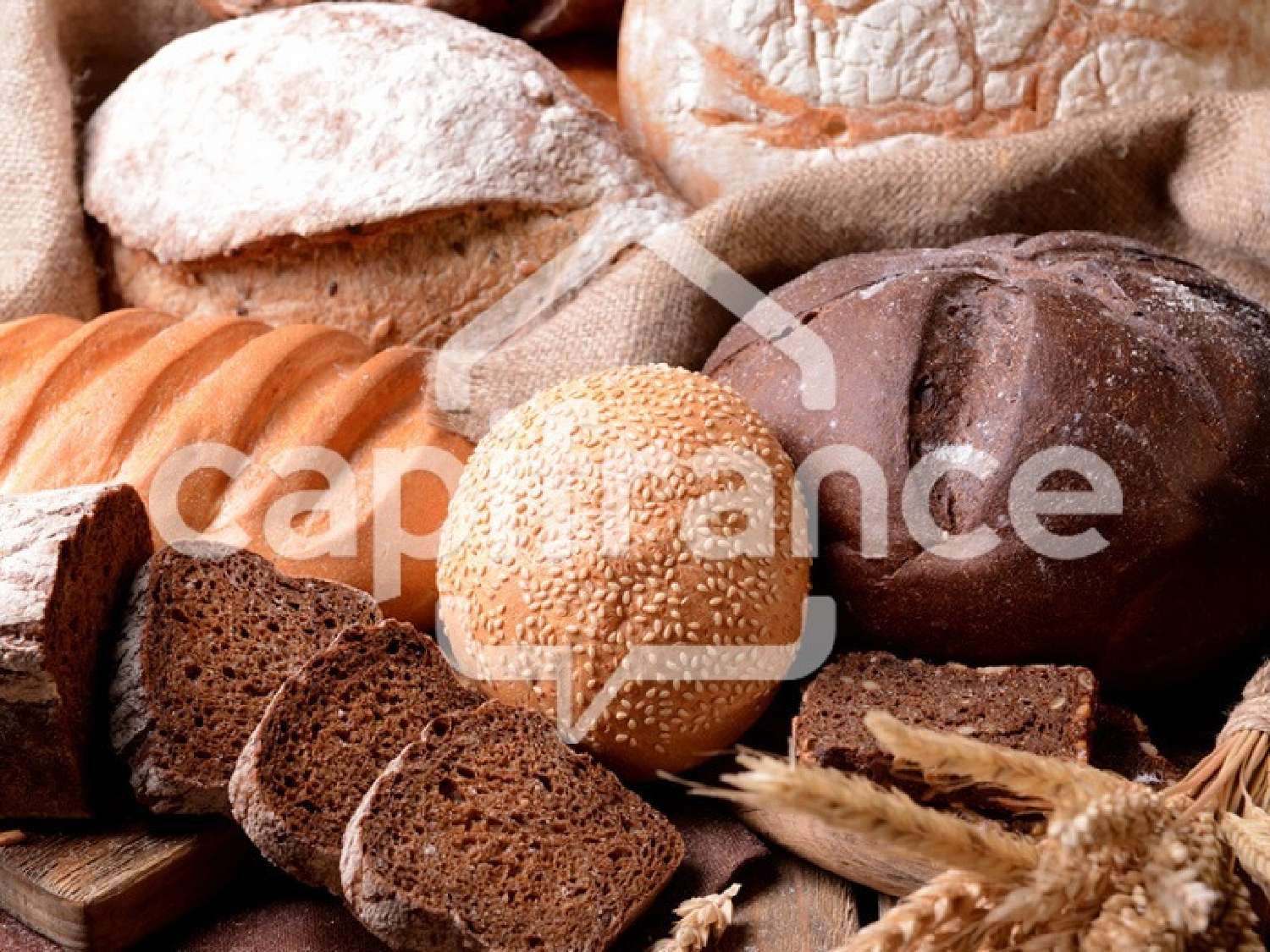  kaufen Gewerbeimmobilie Saint-Laurent-de-Cerdans Pyrénées-Orientales 2