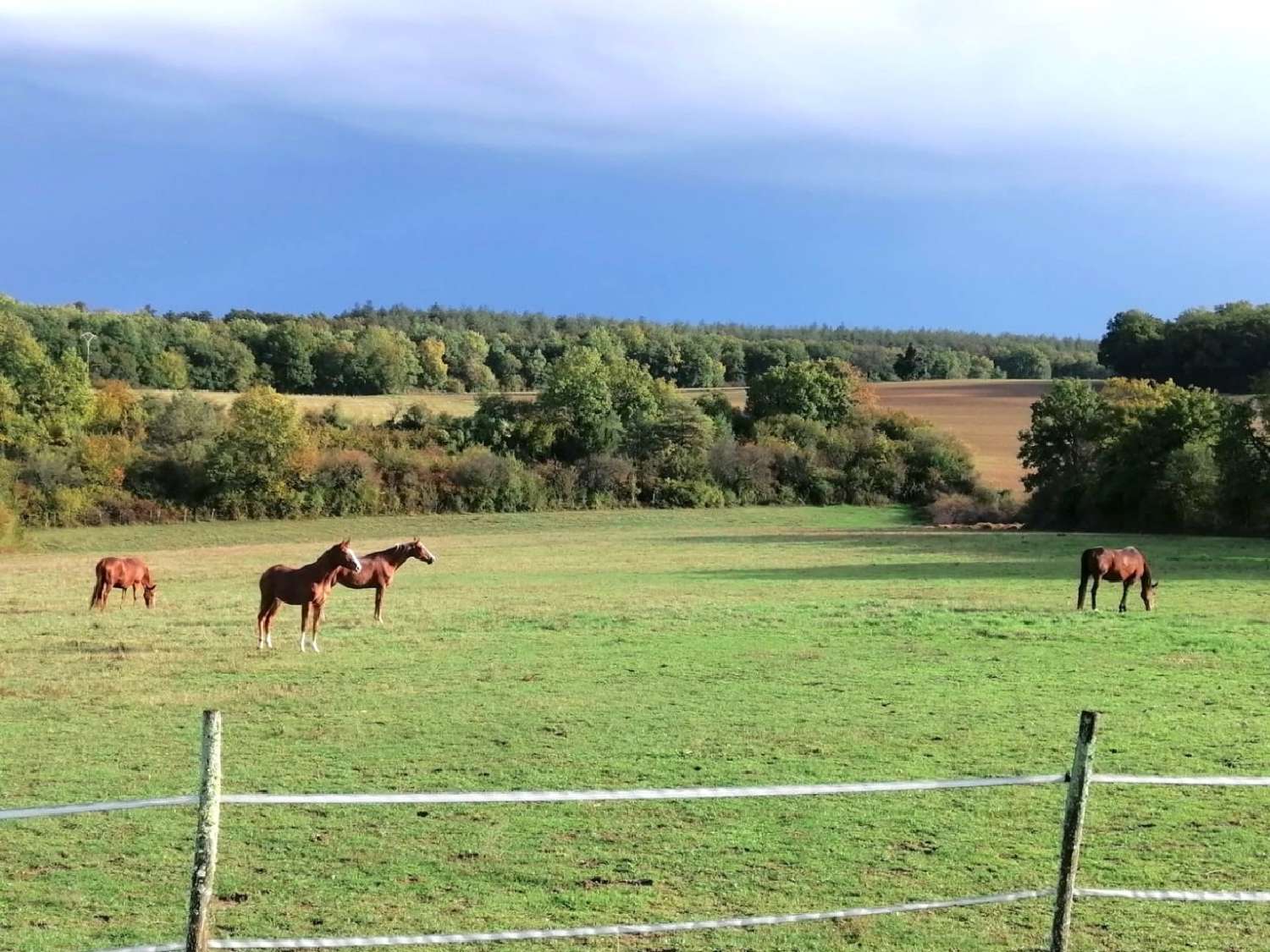  kaufen Landgut Angoulême Charente 6