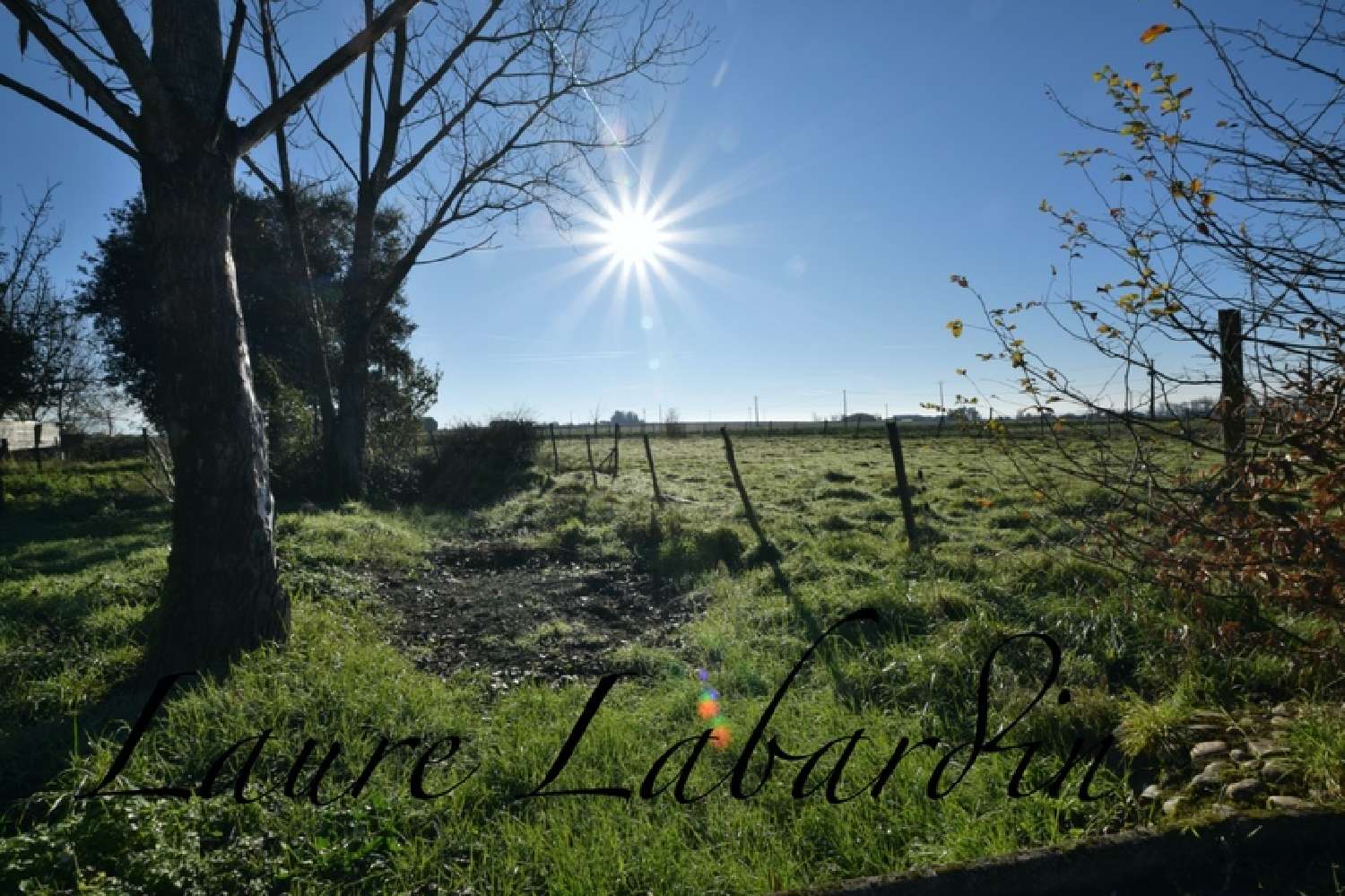  kaufen Landgut Sainte Bazeille Lot-et-Garonne 6