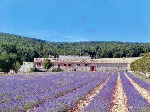 Savoillan Vaucluse Landgut Bild 7047758