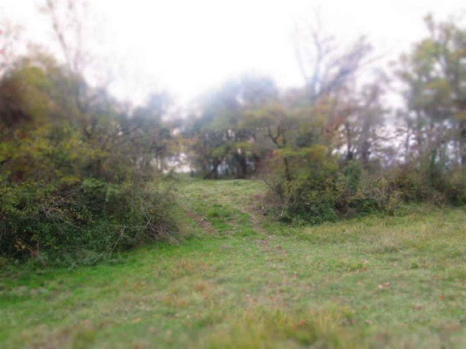  kaufen Landgut Toulouse Haute-Garonne 7