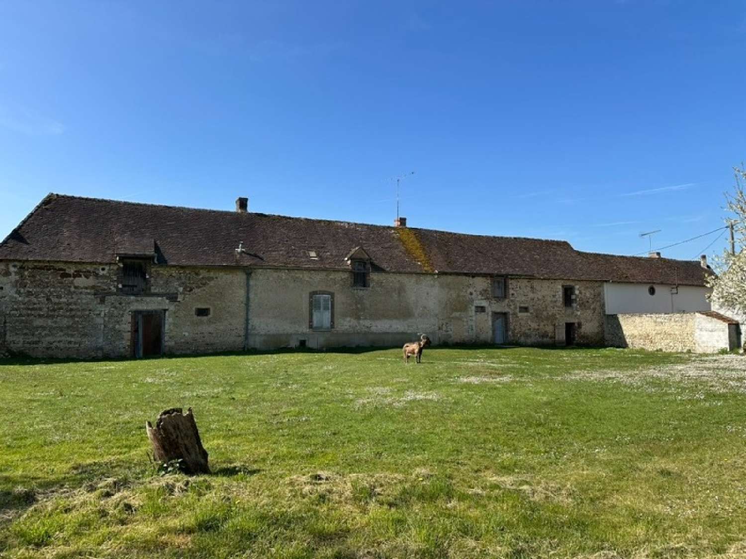  kaufen Bauernhof Ferrières Loiret 5