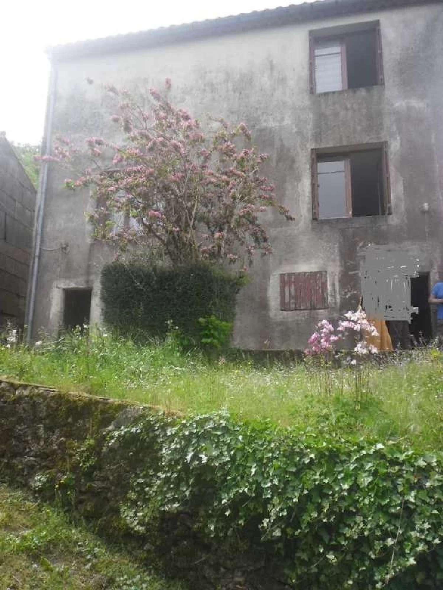  kaufen Bauernhof Labastide-Rouairoux Tarn 7
