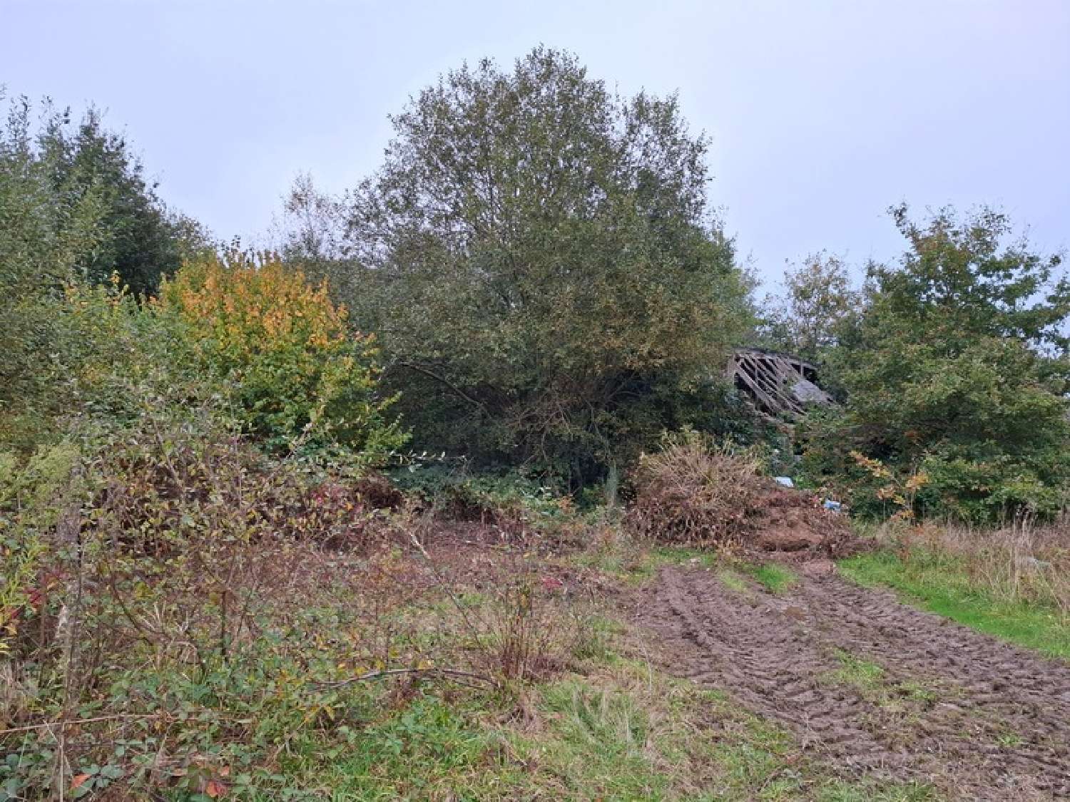  kaufen Bauernhof Saint-Berthevin-la-Tannière Mayenne 2