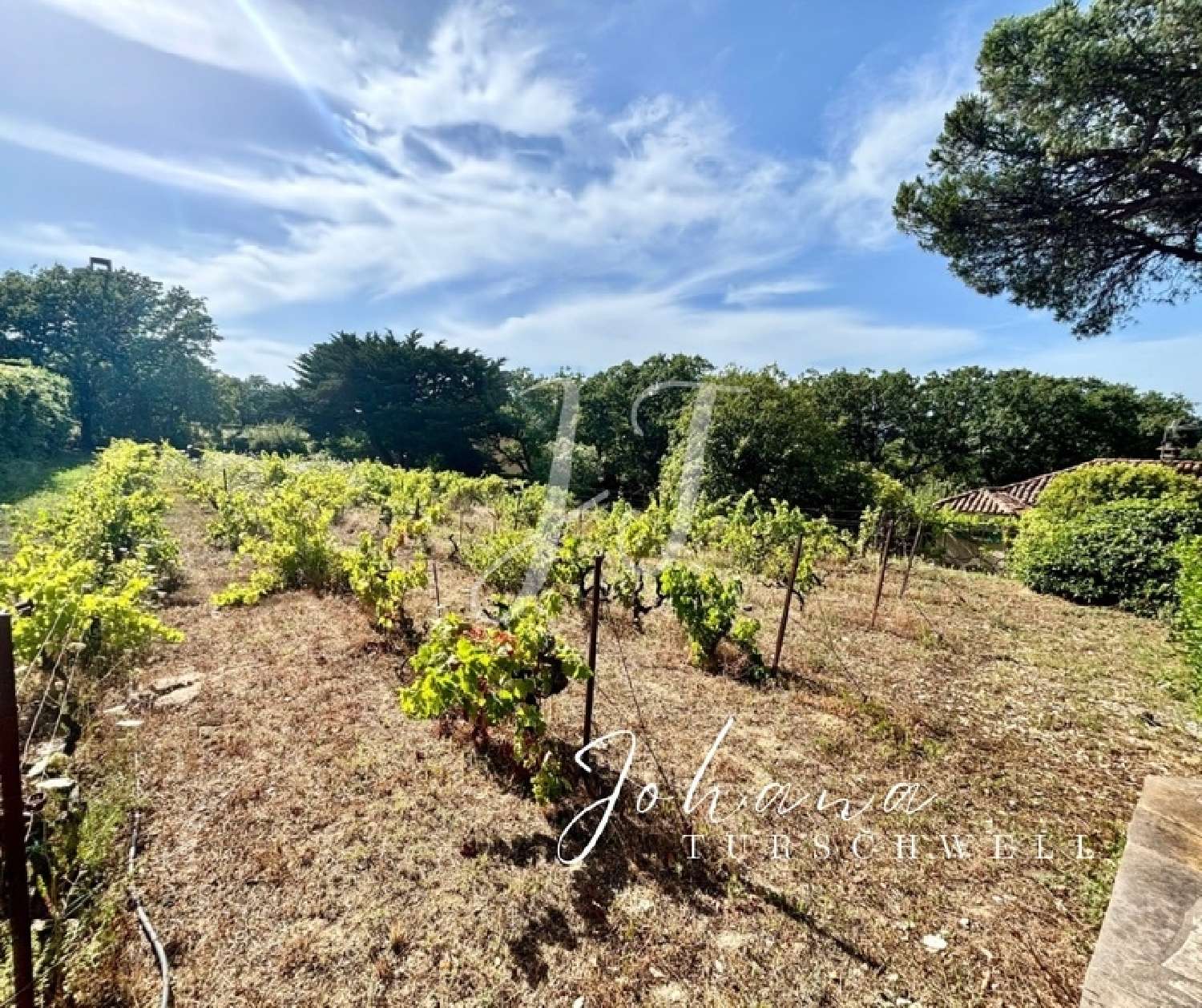  kaufen Bauernhof Saint-Tropez Var 6