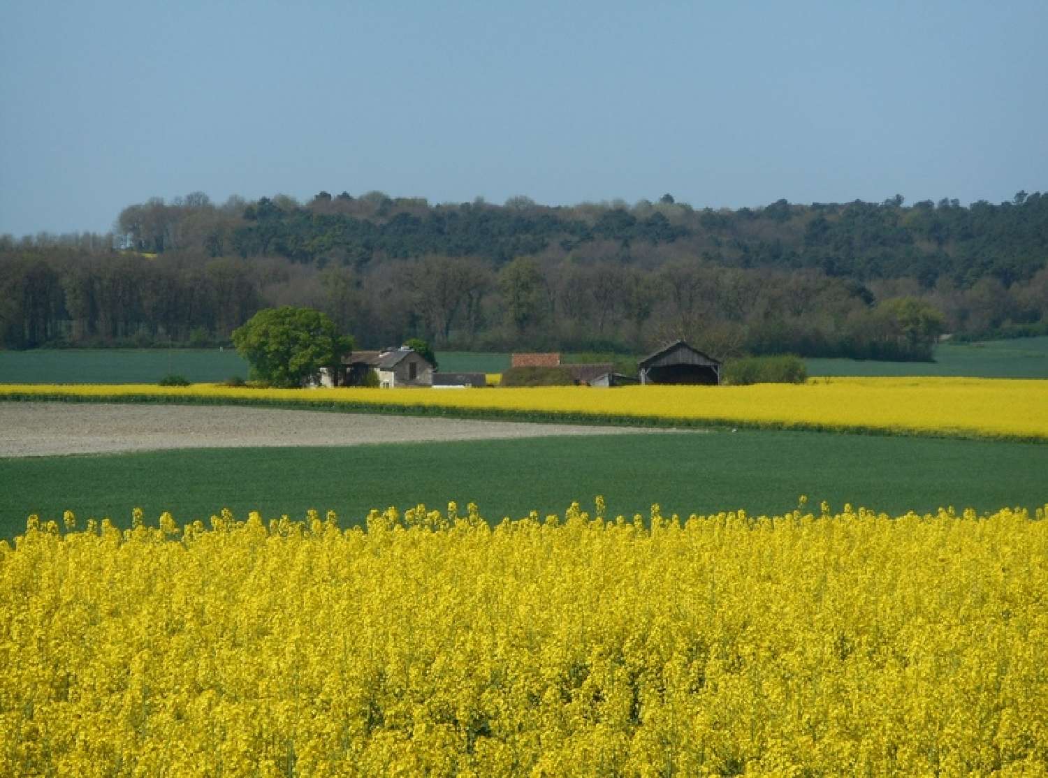  kaufen Bauernhof Thuré Vienne 2