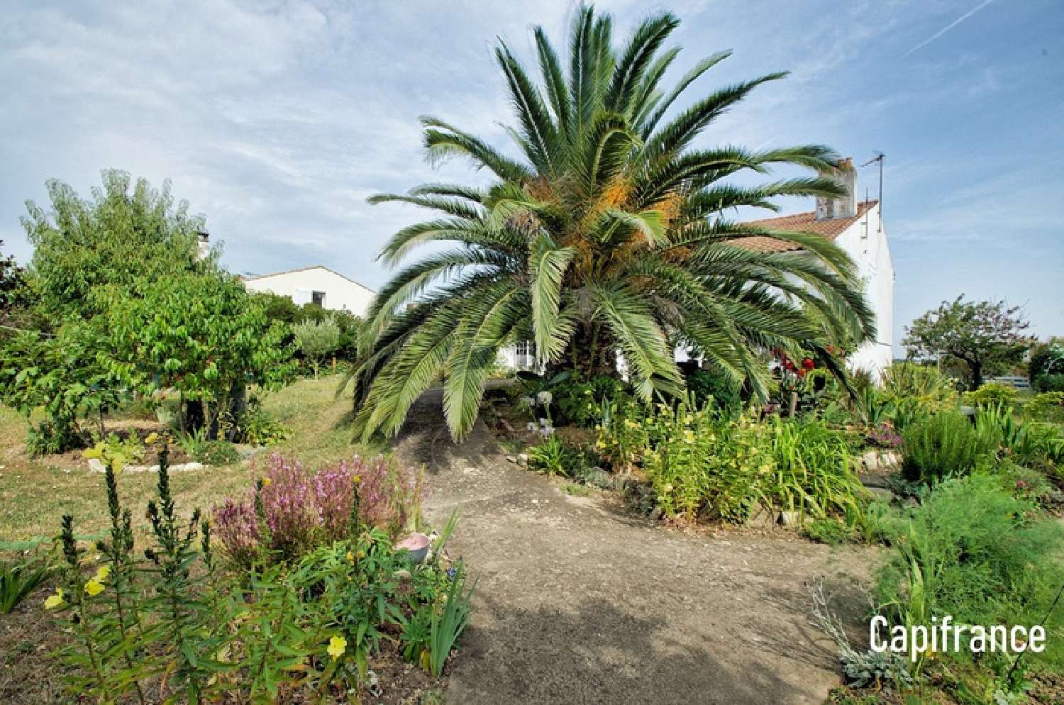  kaufen Haus Angoulins Charente-Maritime 6