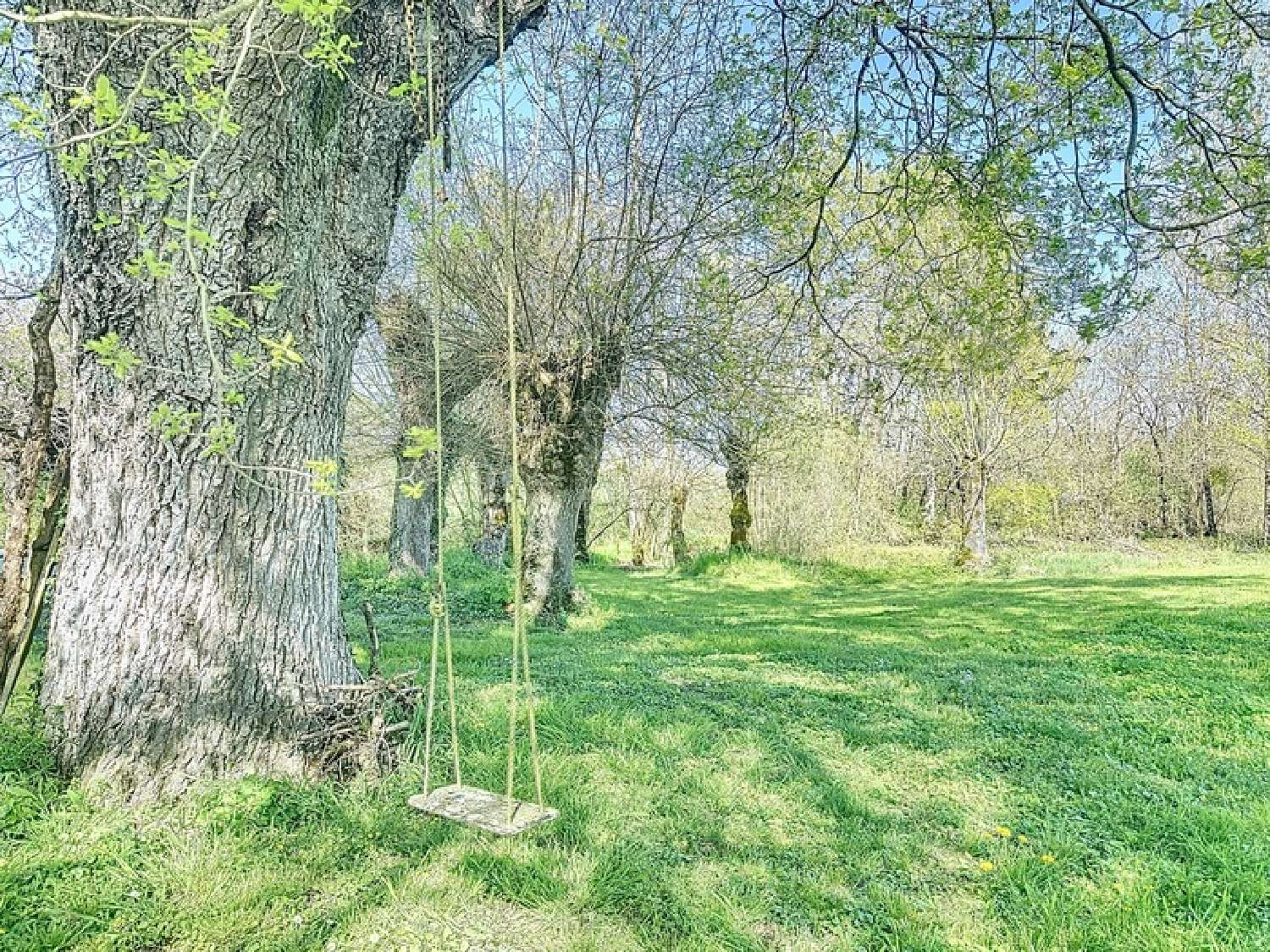  kaufen Haus Bréhémont Indre-et-Loire 5