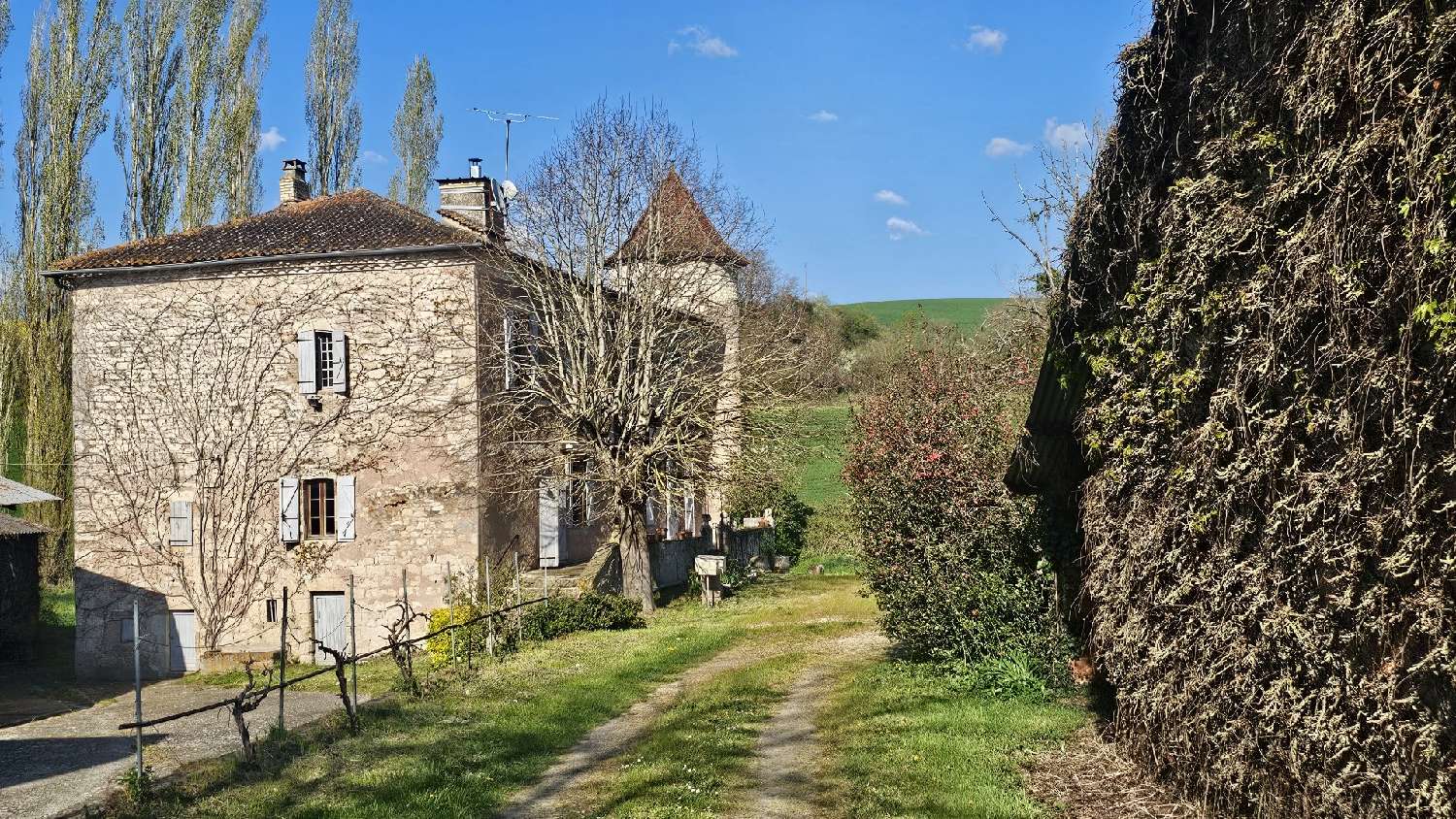  kaufen Haus Castelnau-de-Montmiral Tarn 3