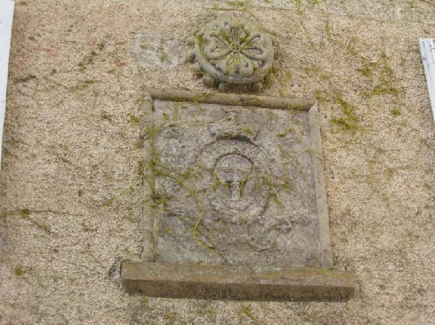  kaufen Haus Castres Tarn 2