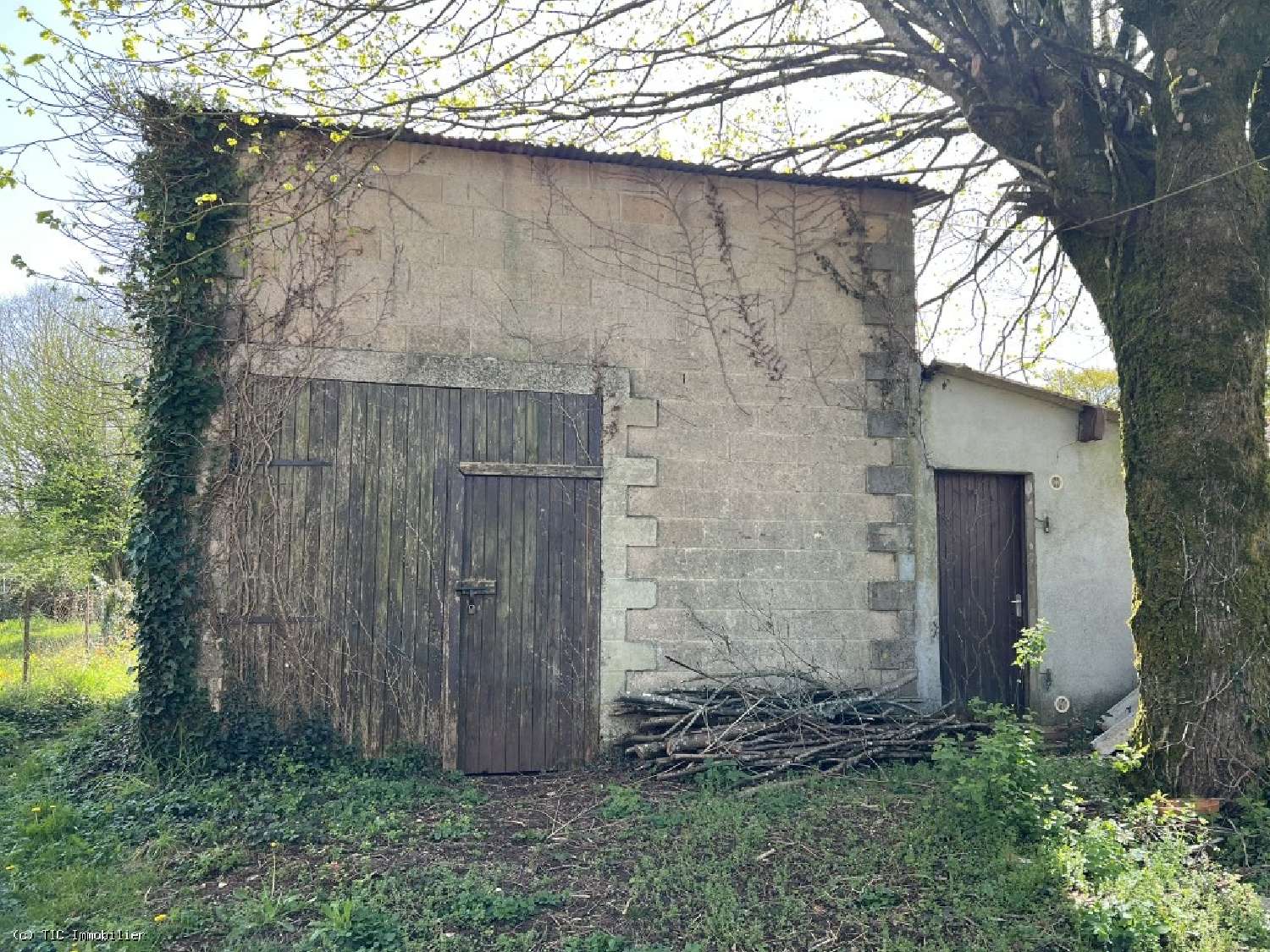  kaufen Haus Champagne-Mouton Charente 3