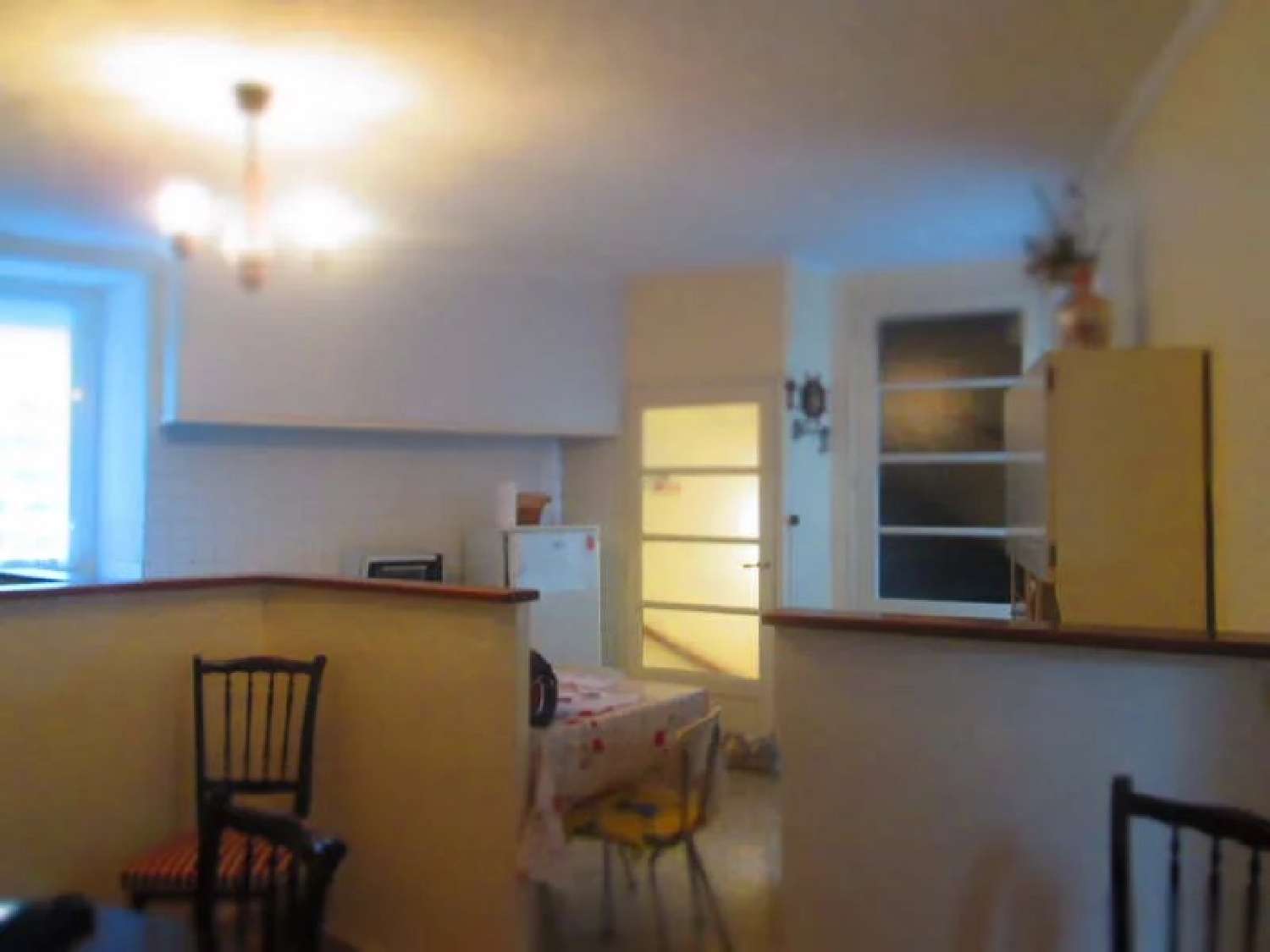  kaufen Haus Riols Hérault 5