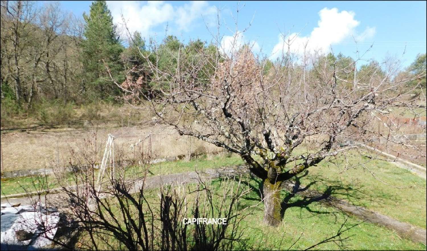  kaufen Haus Digne-Les-Bains Alpes-de-Haute-Provence 2