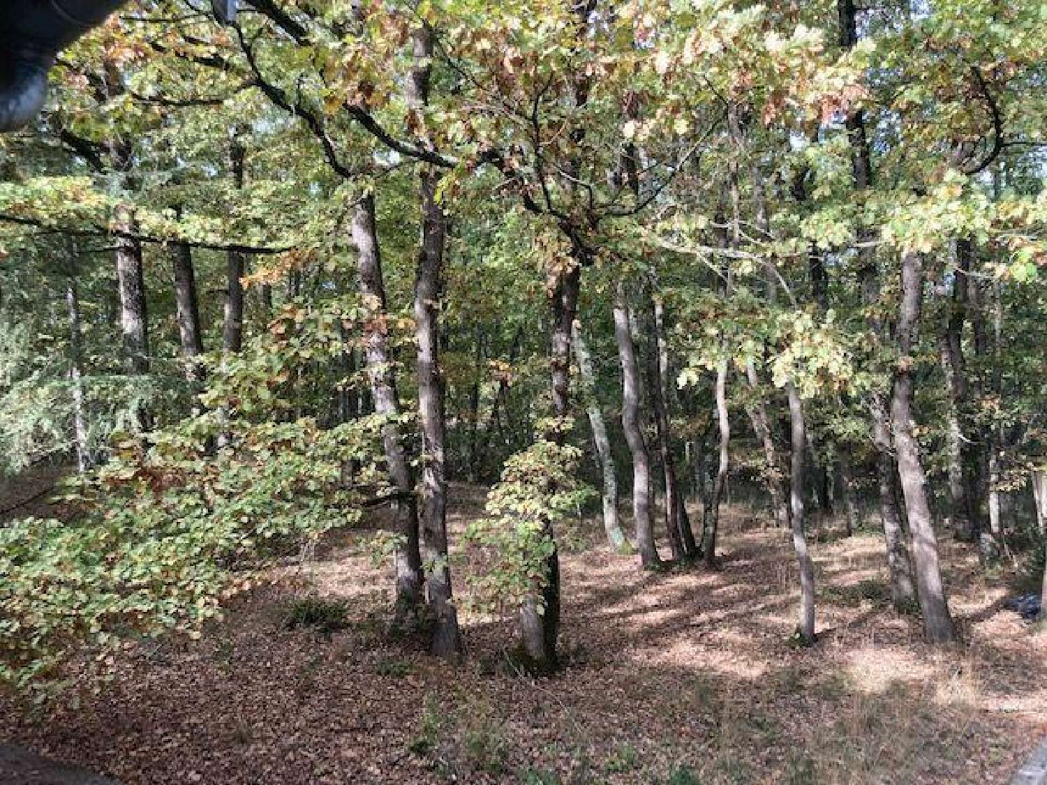  kaufen Haus Eaunes Haute-Garonne 2