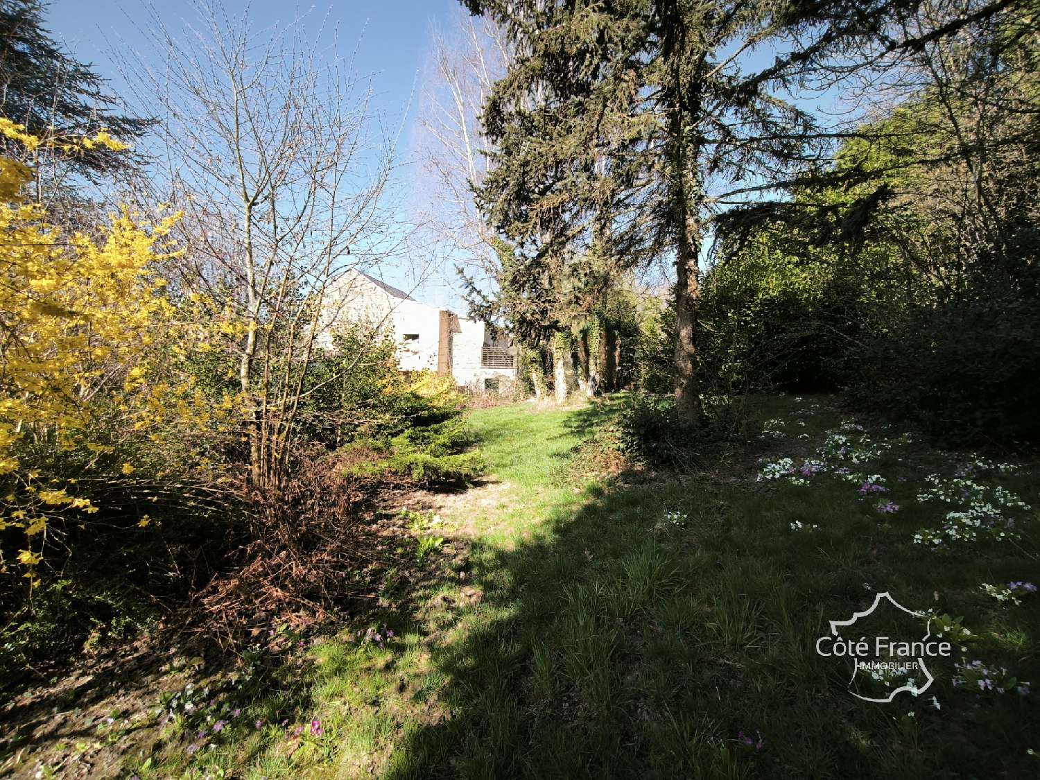  kaufen Haus Fumay Ardennes 6